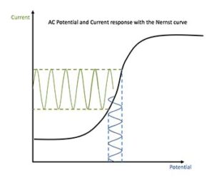 impedance analyzer AC Potential en Current response with Nernst curve