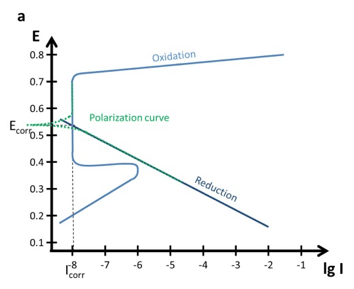 A) Polarization curves (iR corrected, capacitance corrected) of the